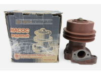 Насос водяной МТЗ Д-245 (2-х ручейный) (Беларусь, «БЗА») 245-1307010-А1