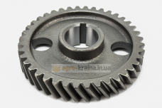 Шестерня распредвала МТЗ (Z=40) 240-1006214-А