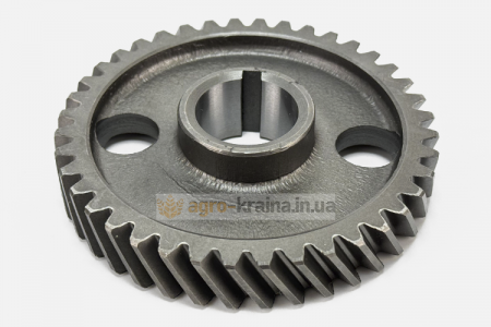 Шестерня вала розподільного МТЗ 240-1006214-А